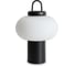 Настольный светильник Freya Take FR6175TL-L10B 1