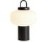 Настольный светильник Freya Take FR6175TL-L10B 2
