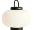 Настольный светильник Freya Take FR6175TL-L10B 4
