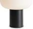 Настольный светильник Freya Take FR6175TL-L10B 6