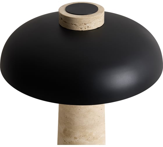 Настольный светильник Freya Sunspot FR5482TL-L7B