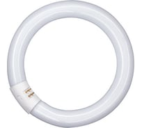 Линейная люминесцентная лампа OSRAM L 40W/840 C G10Q 12X1 4050300014845