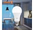 Светодиодная лампа OSRAM LED, Value, A, E27, 1600Лм, 20Вт, замена 150Вт, 6500К, холодный белый свет 4058075579378 2
