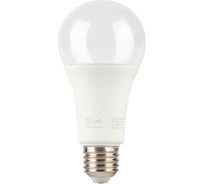 Фитолампа для растений светодиодная ЭРА GREEN LINE ФИТО A65-20W-PFR-E27-GR 20 Вт, полного спектра Б0068577