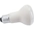 Светодиодная лампа OSRAM LED STAR R63 7Вт E27 600 Лм 4000 К Нейтральный белый свет 4058075282650 1