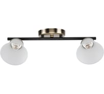 Люстра ЭкономСвет эконом 10165/2AB+BK WT