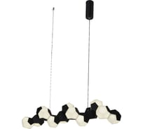 Потолочный светодиодный светильник Gerhort G91054/13BK