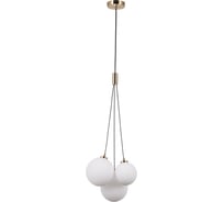 Люстра Gerhort подвесная 3xG9 G31205/3BRS WT X300221675