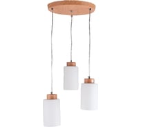 Подвесная люстра ЭкономСвет 10242/3WD WT