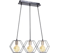 Подвесной светильник ЭкономСвет 10221/3BK+FG BK