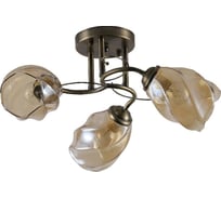 Люстра ЭкономСвет эконом 12179/3BRS AMB