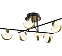 Потолочный светодиодный светильник Gerhort G91051/6BK+GD