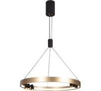 Подвесной светодиодный светильник Gerhort G52128/1+6BK GD+BK