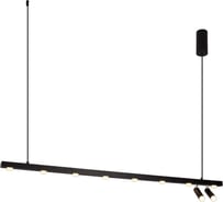 Подвесной светодиодный светильник Gerhort G52134/12BK BK