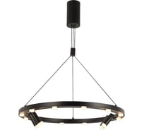 Подвесной светодиодный светильник Gerhort G52134/16P BK BK