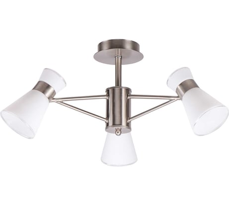 Потолочный светильник ЭкономСвет 60554/3SN WT