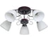Потолочный светильник ЭкономСвет 50640/5CR+BR WT 1