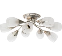 Потолочная люстра Arte Lamp PENNY A2701PL-9WG