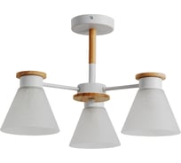 Потолочная люстра Arte Lamp TYLER A1031PL-3WH