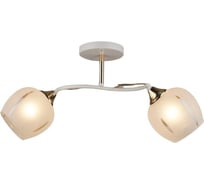 Люстра ЭкономСвет классическая 12228/2WT+FGD WT