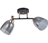 Люстра ЭкономСвет классическая 12229/2BK+FGD GR