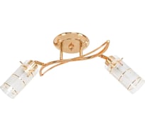 Потолочный светильник ЭкономСвет 11187/2FG WT