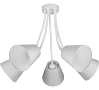 Потолочный светильник ЭкономСвет 10119/5WT WT