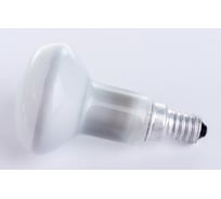 Лампа накаливания OSRAM направленного света CONC R50 SP 25W 230V E14 FS1 4052899180468