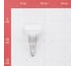 Лампа накаливания OSRAM направленного света CONC R50 SP 25W 230V E14 FS1 4052899180468 6