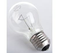 Лампа накаливания OSRAM CLAS A CL 95W 230V E27 FS1 4058075027831