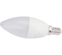 Светодиодная лампа OSRAM LED Value B E14 560лм 7Вт замена 60Вт 6500К холодный белый свет 4058075579033