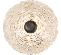 Настенный светодиодный светильник Gerhort G61441/1wBK+CL