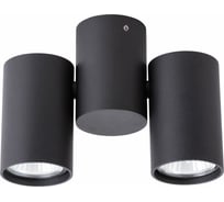Потолочный светильник Arte Lamp GAVROCHE A1511PL-2BK