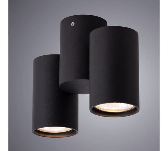 Потолочный светильник Arte Lamp GAVROCHE A1511PL-2BK