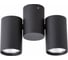Потолочный светильник Arte Lamp GAVROCHE A1511PL-2BK 1