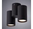 Потолочный светильник Arte Lamp GAVROCHE A1511PL-2BK 2