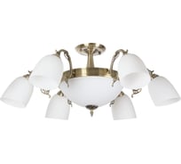 Потолочная люстра на штанге MyFar Biene MR1523-8C