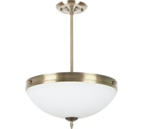 Потолочная люстра на штанге MyFar Biene MR1526-4C