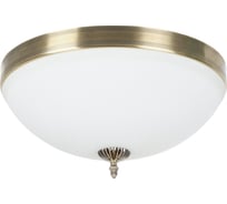 Потолочный светильник MyFar Biene MR1528-4C