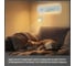 Светильник с выключателем Citilux Декарт LED USB Белый CL704470 8