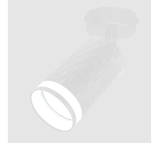 Накладной светильник на основании (спот) General Lighting Systems Кирпич (D55*H100) GWL-GU10-M-IP20 661863