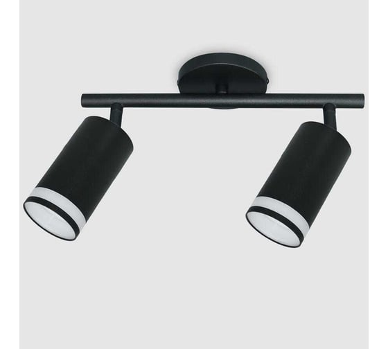Накладной светильник на основании (спот) двойной General Lighting Systems Башня (D55*H100мм) GWL-2GU10-M-I 661834 1