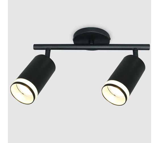 Накладной светильник на основании (спот) двойной General Lighting Systems Башня (D55*H100мм) GWL-2GU10-M-I 661834