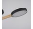 Потолочная люстра IMPERIUMLOFT TURNA 3 Black 178331-26 7