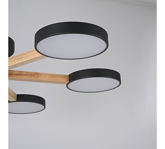 Потолочная люстра IMPERIUMLOFT TURNA 6 Black 178336-26