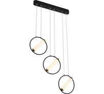 Светодиодный светильник Gerhort G61306/3BK+GD