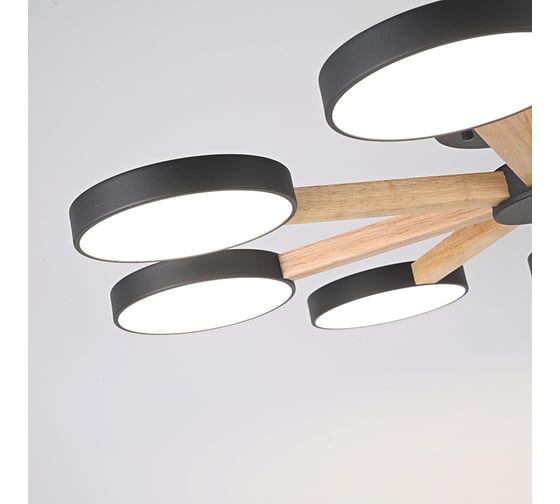 Потолочная люстра IMPERIUMLOFT TURNA 8 Black 178341-26