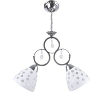 Потолочный светильник HIPER 2хE27х60Вт BLACK/CHROME H135-2