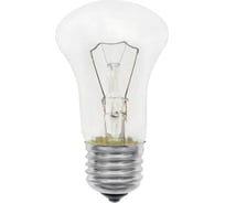 Лампа TDM ELECTRIC МО 12-60 М50 Е27, упаковка 100 штук SQ0343-0028