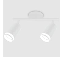 Накладной светильник (спот) General Lighting Systems General (D55*H100) GWL-2GU10-M-IP20, круглое основание, два патрона под 661866